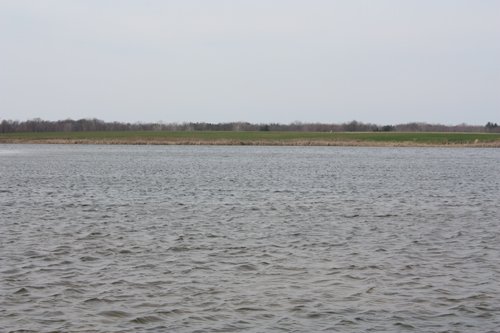 Property photo 15 - 194.67 Acres Offered in 2 Tracts